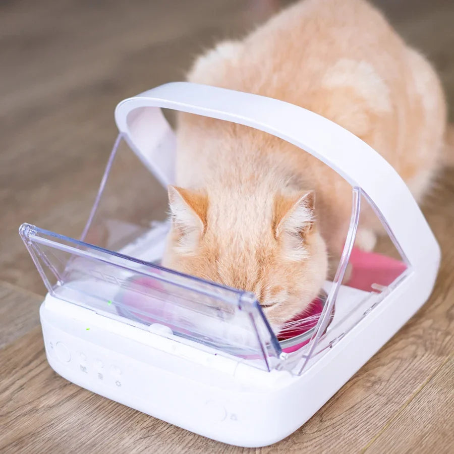 SureFeed Microchip Pet Feeder Connect & Hub Bundle for Cats & Small Dogs